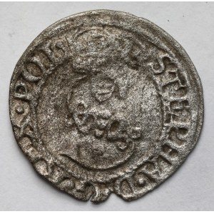 Stefan Batory, Szeląg Olkusz 1580 - Jastrzębiec - RZADKI