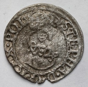 Stefan Batory, Szeląg Olkusz 1580 - Jastrzębiec - RZADKI