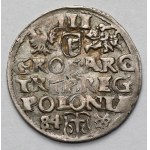 Stefan Batory, Trojak Poznań 1584