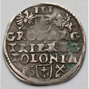 Stefan Batory, Trojak Poznań 1586 - kwiatek