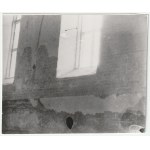 PAS£ÊK. St. Bartholomew Church, Gothic frescoes, early 1950s.