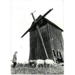 ŻERKOW, Moulin à vent, 1978.