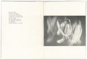Folder of the exhibition entitled. 