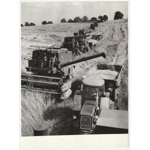 RUSOCIN. Štátny statok, žatva, 1973.