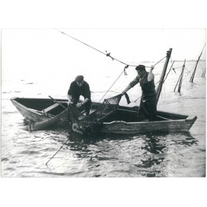 DĄBIE. Rybacy w trakcie połowu,1961 r.
