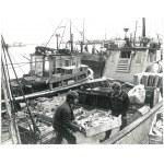 WŁADYSŁAWOWO. Unloading caught fish, 1984.