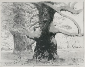 Leon Wyczółkowski, DĘBY ROGALIŃSKIE POD ŚNIEGIEM, ok. 1925