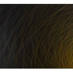 Klaudia Krzosek (b. 2000), Sun from the series Pulse, 2025