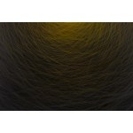 Klaudia Krzosek (b. 2000), Sun from the series Pulse, 2025