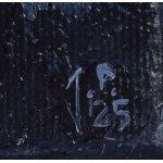 Joanna Półkośnik (ur. 1981), Echo skrzydeł, 2025