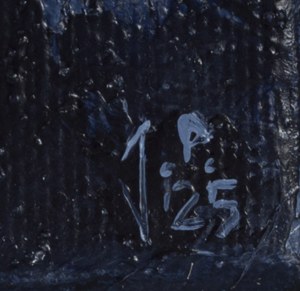 Joanna Półkośnik (ur. 1981), 
