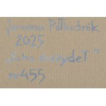 Joanna Półkośnik (ur. 1981), Echo skrzydeł, 2025