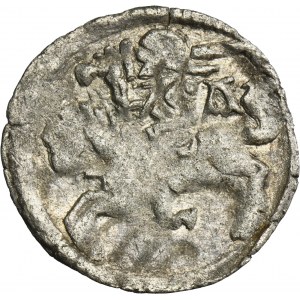 Alexander Jagiellon, Denarius Vilnius no date