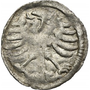 Alexander Jagiellon, Denarius Vilnius no date