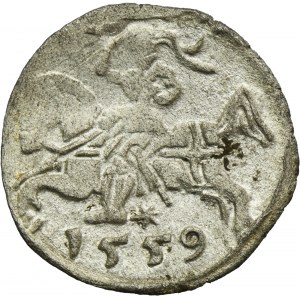 Sigismund II August, Denarius Vilnius 1559