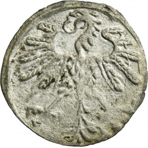 Sigismund II August, Denarius Vilnius 1559