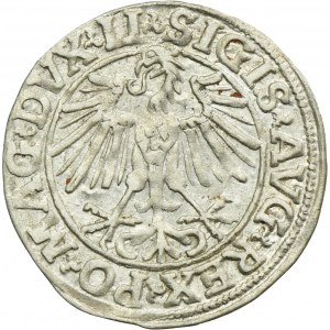 Sigismund II August, 1/2 Groschen Vilnius 1548 - LI/LITVA