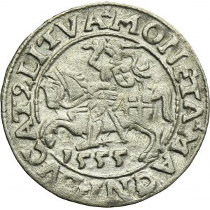 Sigismund II August, Halfgroschen Vilnius 1555 - LI/LITVA
