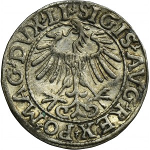 Sigismund II August, 1/2 Groschen Vilnius 1557 - LI/LITVA