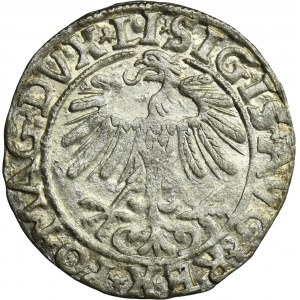 Sigismund II August, 1/2 Groschen Vilnius 1557 - LI/LITVA