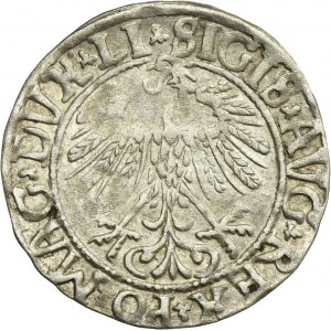 Sigismund II August, 1/2 Groschen Vilnius 1558 - LI/LITVA