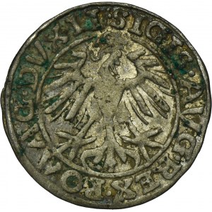 Sigismund II August, 1/2 Groschen Vilnius 1557 - LI/LITVA