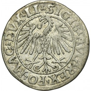 Sigismund II August, 1/2 Groschen Vilnius 1547 - LI/LITVA