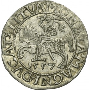 Sigismund II August, 1/2 Groschen Vilnius 1557 - LI/LITVA