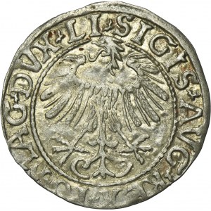 Sigismund II August, 1/2 Groschen Vilnius 1557 - LI/LITVA