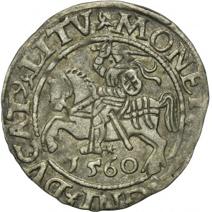 Sigismund II August, 1/2 Groschen Vilnius 1560 - L/LITV