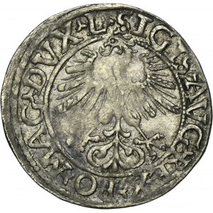 Sigismund II August, 1/2 Groschen Vilnius 1561 - L/LITV