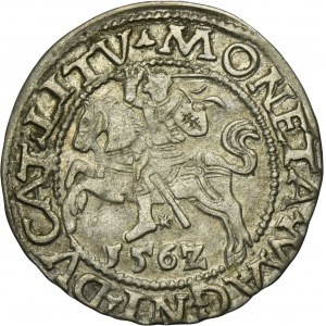 Sigismund II August, 1/2 Groschen Vilnius 1562 - L/LITV