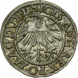 Sigismund II August, 1/2 Groschen Vilnius 1562 - L/LITV
