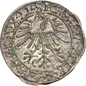 Sigismund II August, 1/2 Groschen Vilnius 1562 LI/LITV