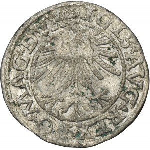 Sigismund II August, 1/2 Groschen Vilnius 1563 - L/LITVA