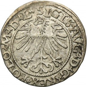 Sigismund II August, 1/2 Groschen Vilnius 1564 - L/LITVA