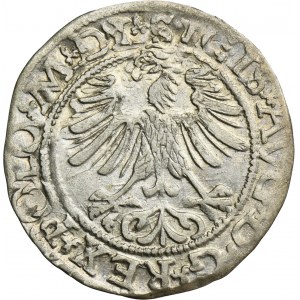 Sigismund II August, 1/2 Groschen Vilnius 1565 - L/LITV