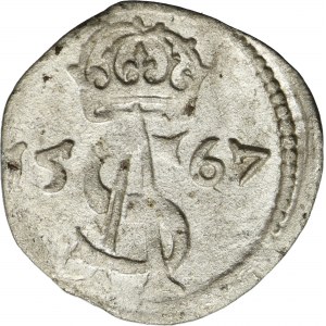 Sigismund II August, 2 Denarius Vilnius 1567