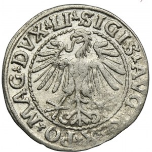 Sigismund II August, 1/2 Groschen Vilnius 1548 - LI/LITVA