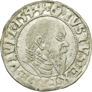 Knížecí Prusko, Albrecht Hohenzollern, Grosz Königsberg 1544 - PRVSS