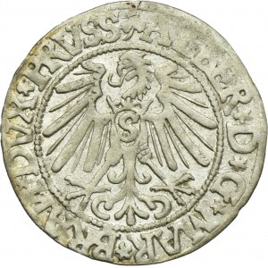 Knížecí Prusko, Albrecht Hohenzollern, Grosz Königsberg 1544 - PRVSS