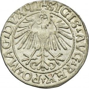 Sigismund II August, 1/2 Groschen Vilnius 1548 - LI/LITVA