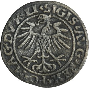 Sigismund II August, 1/2 Groschen Vilnius 1552 - LI/LITVA