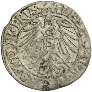 Duchy of Prussia, Albrecht Hohenzollern, Groschen Königsberg 1544 - PRVSS