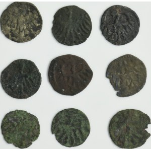 Set, Ladislaus III and Casimir IV Jagiellon, Denarius (9 pcs.)