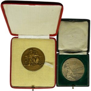 Set, Austria, Medaglie del XX secolo (2 pezzi)