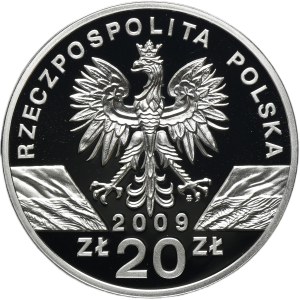 20 złotych 2009 Jaszczurka Zielona