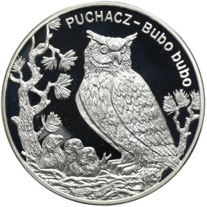 20 złotych 2005 Puchacz