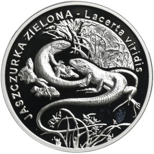 20 Gold 2009 Green Lizard