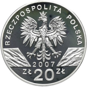 20 Gold 2007 Grey Seal